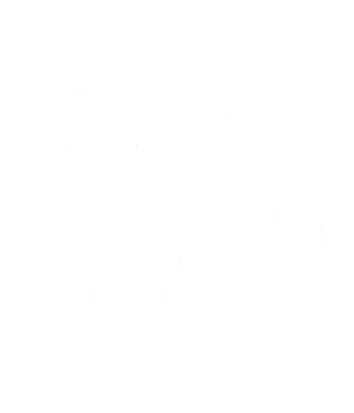 Fondo Alquimia